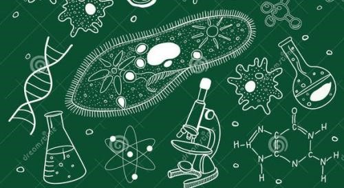 Biologická olympiáda kategória E botanika, zoológia, geológia