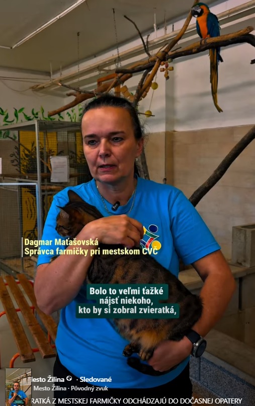 ZVIERATKÁ Z FARMIČKY ODCHÁDZAJÚ DO DOČASNEJ OPATERY